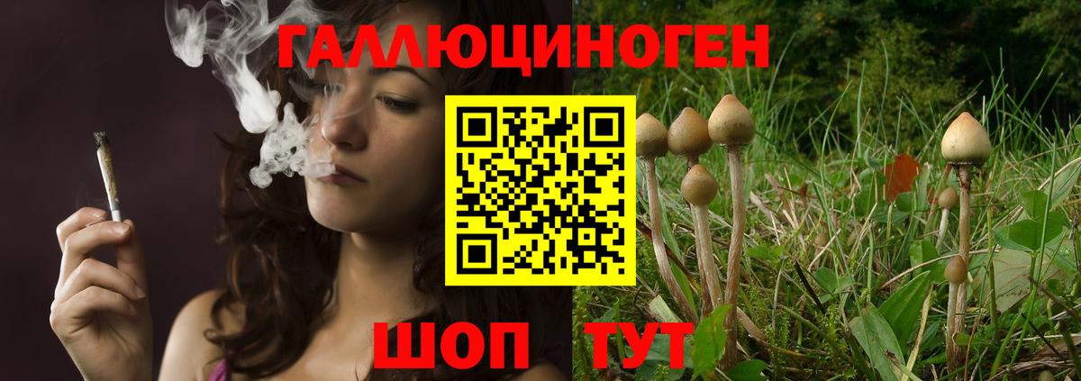 Псилоцибиновые грибы MAGIC MUSHROOMS  Галлюциногенные грибы GOLDEN TEACHER  Магнитогорск  Вход с VPN 